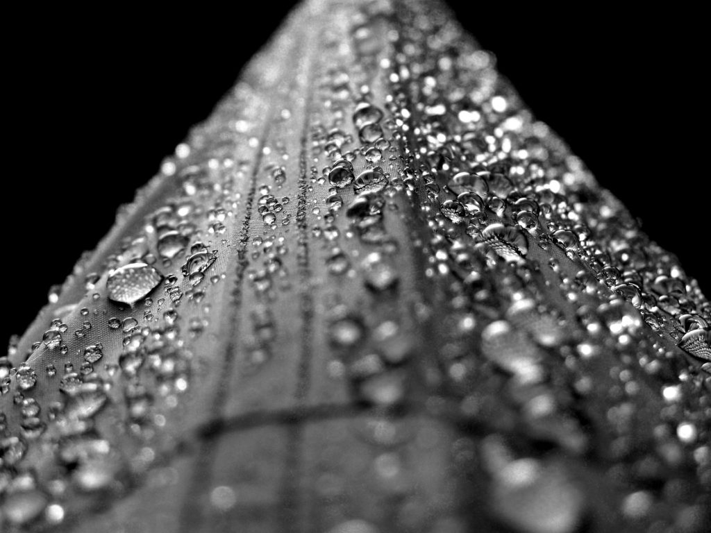 tent-102952_1920